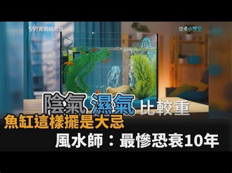 水族箱擺放位置|【風水特輯】想催財就在家裡「這邊」放魚缸！養魚風。